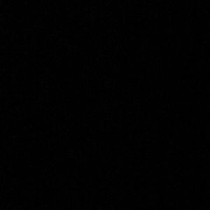 Meet your Posher, Logan